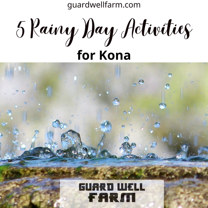 Rainy Day Activities in Kona