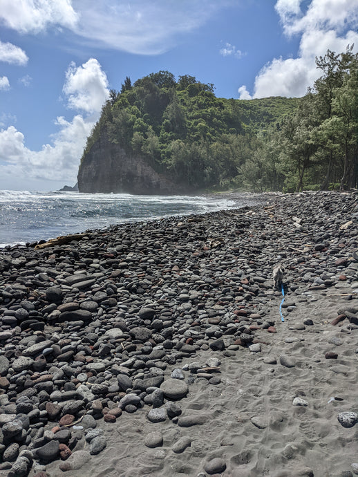 Best Deals in Kona - Day 6 Kohala Pololu Mahukona Spencer