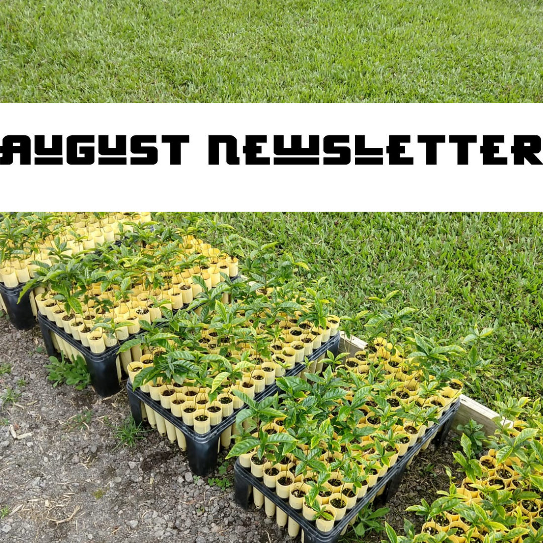 August Newsletter