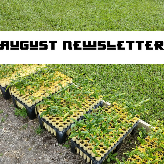 August Newsletter