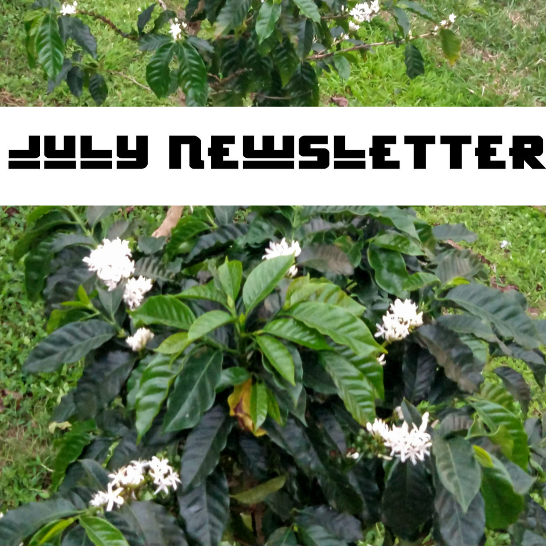 July Newsletter