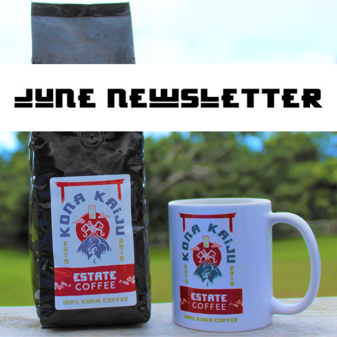 June Newsletter