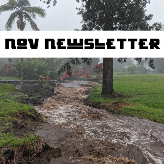 November Newsletter