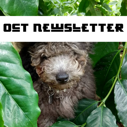 October Newsletter