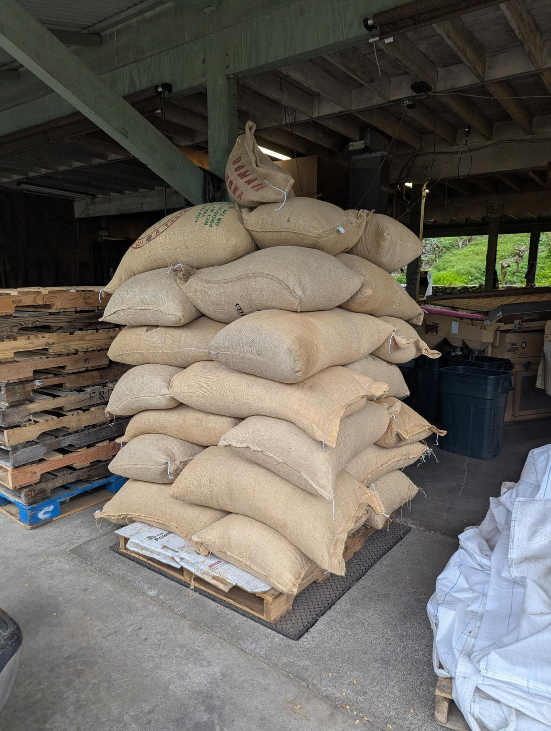 Kona Coffee Grades Explained